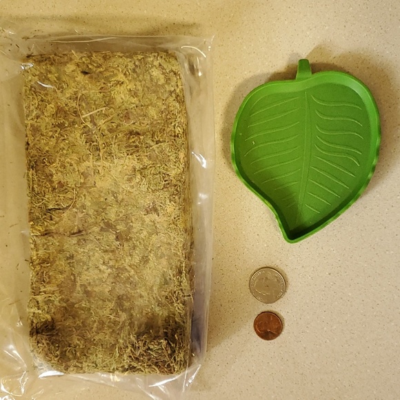 Reptile bundle - Picture 5 of 7